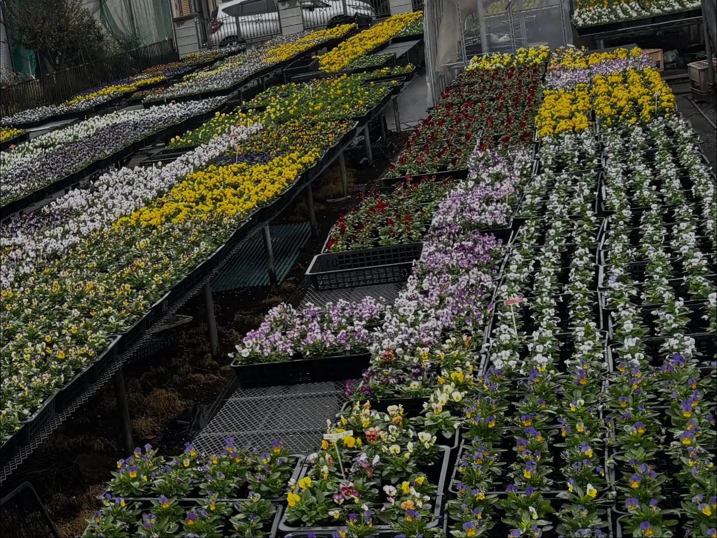 三浦市で愛らしいハムスターのペット火葬のお手伝いをさせていた...