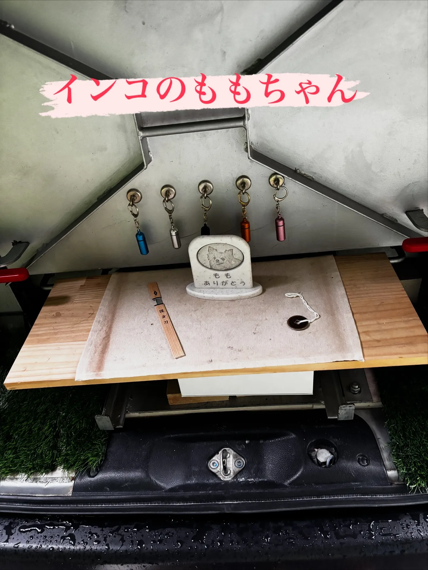 横浜市にてインコちゃんのペット葬儀とペット火葬のお手伝いをさ...