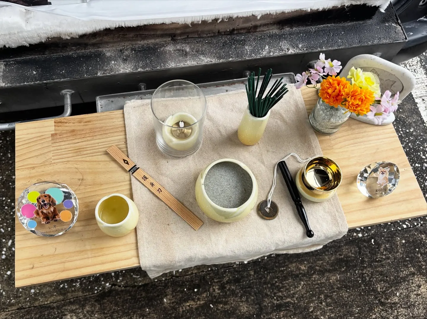 逗子市にて、心に深く刻まれた思い出の場所で、大切な柴犬ちゃん...