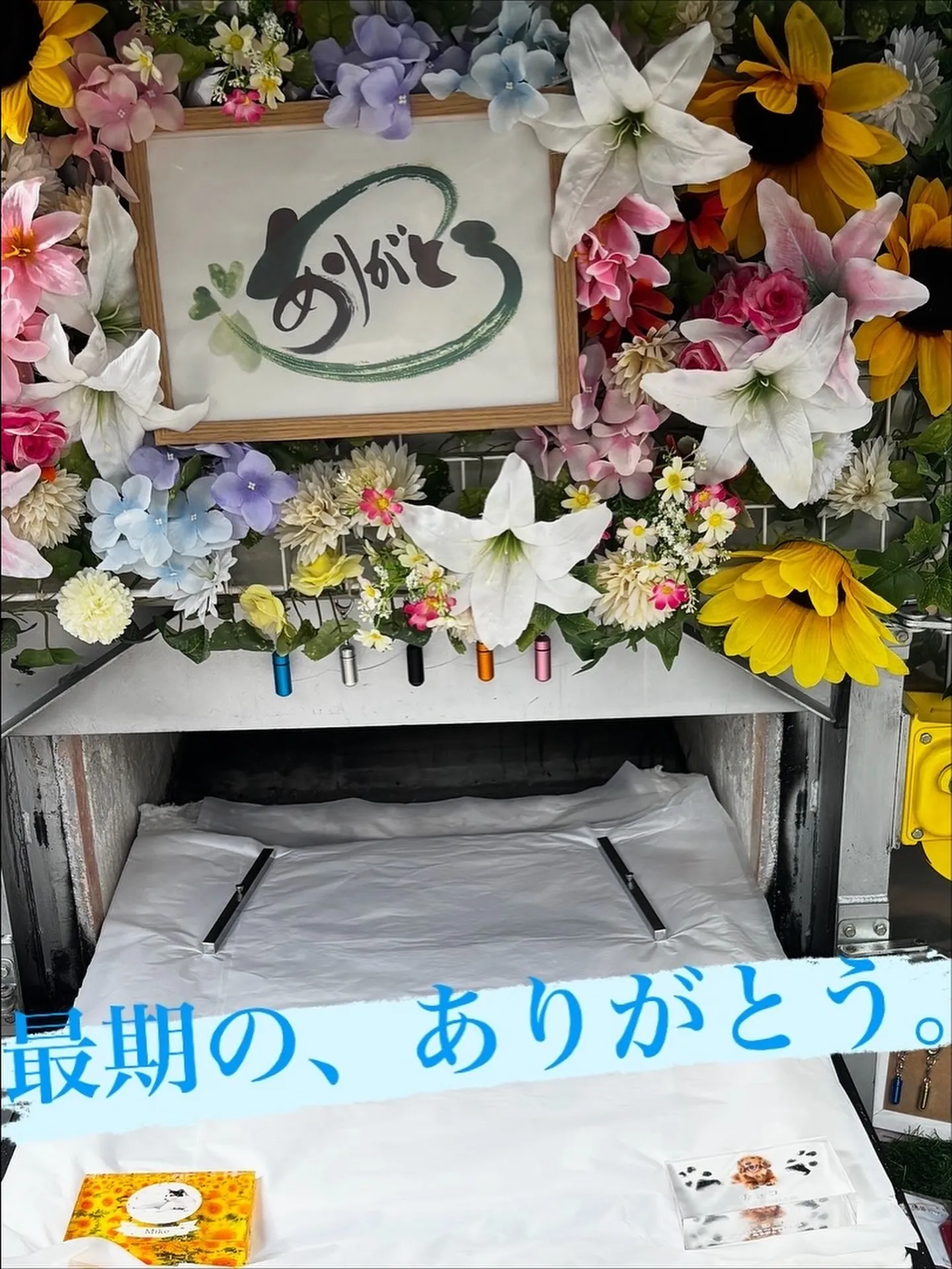 ご家族の大切な一員であるペットが虹の橋を渡る際、その別れは深...