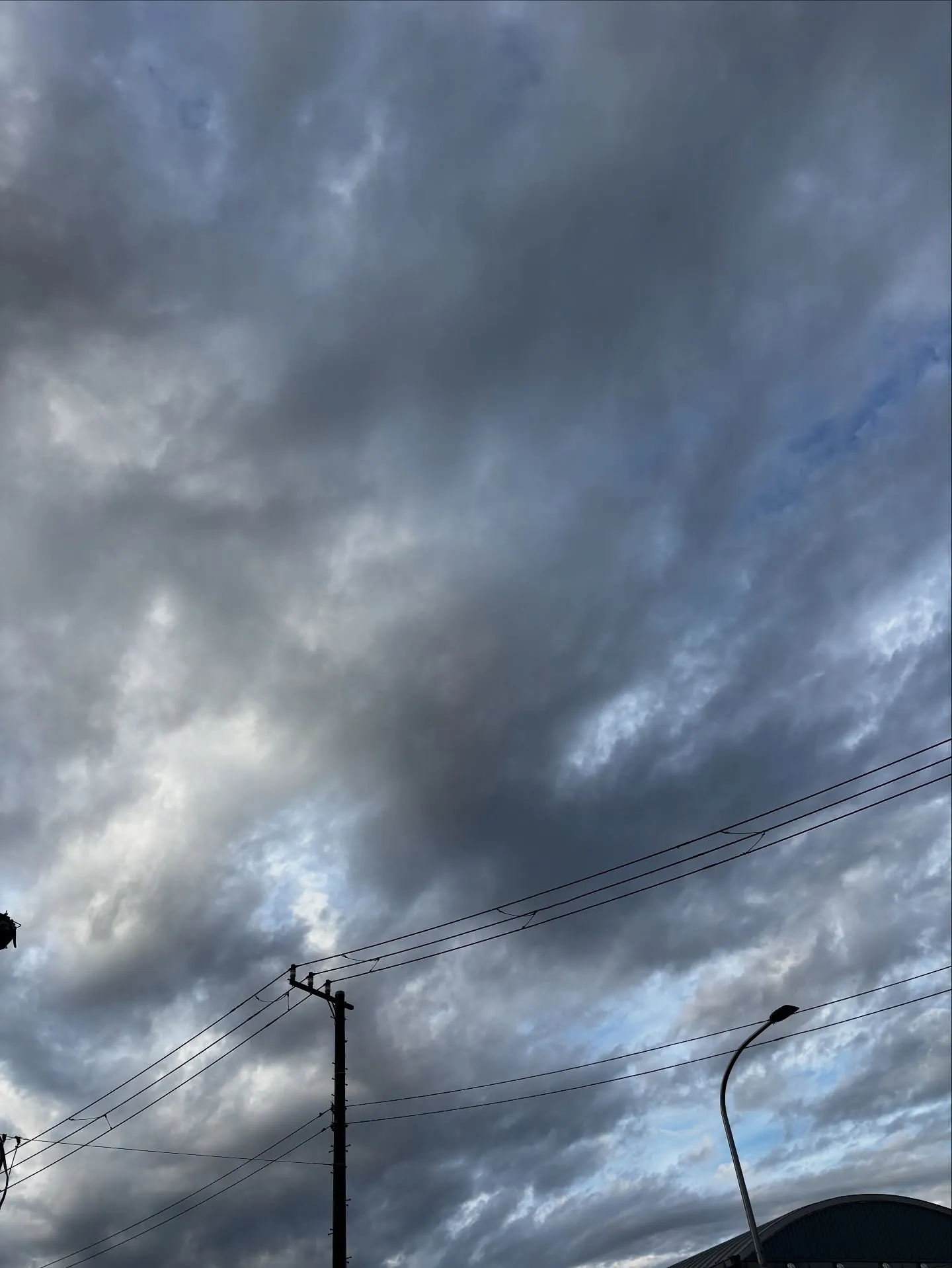 横須賀市にあるペットメモリアル神奈川のペット火葬サービスは、...
