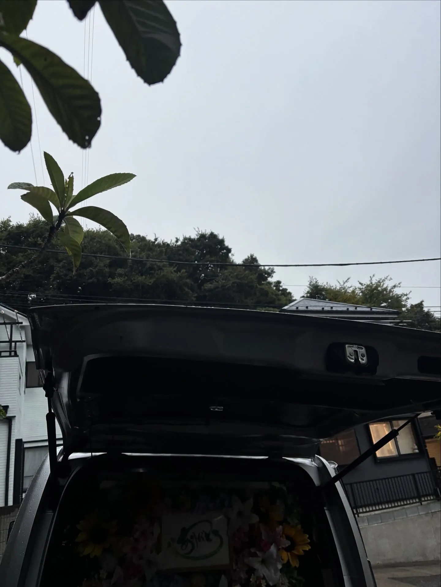 横浜市金沢区で、愛犬のペット火葬のお手伝いをさせていただきま...