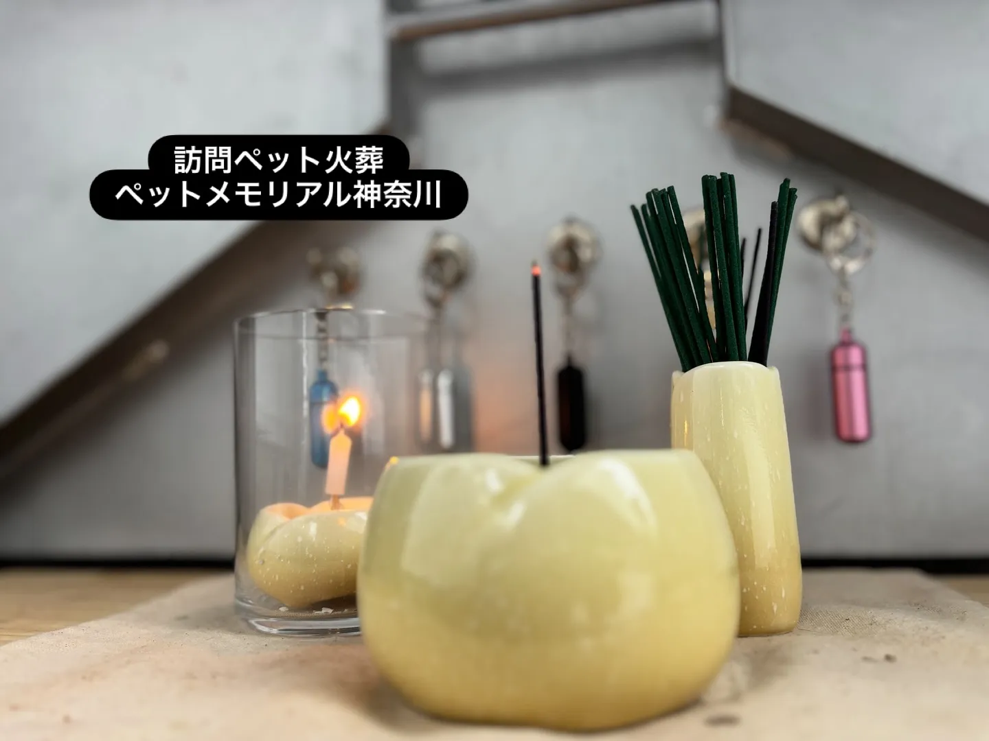 横須賀市にて、愛らしい猫ちゃんのお見送りのお手伝いをさせてい...