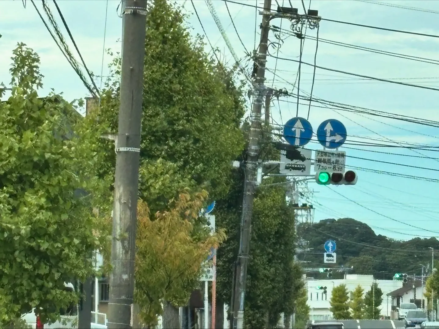 横須賀市にて、愛らしい猫ちゃんのお見送りのお手伝いをさせてい...