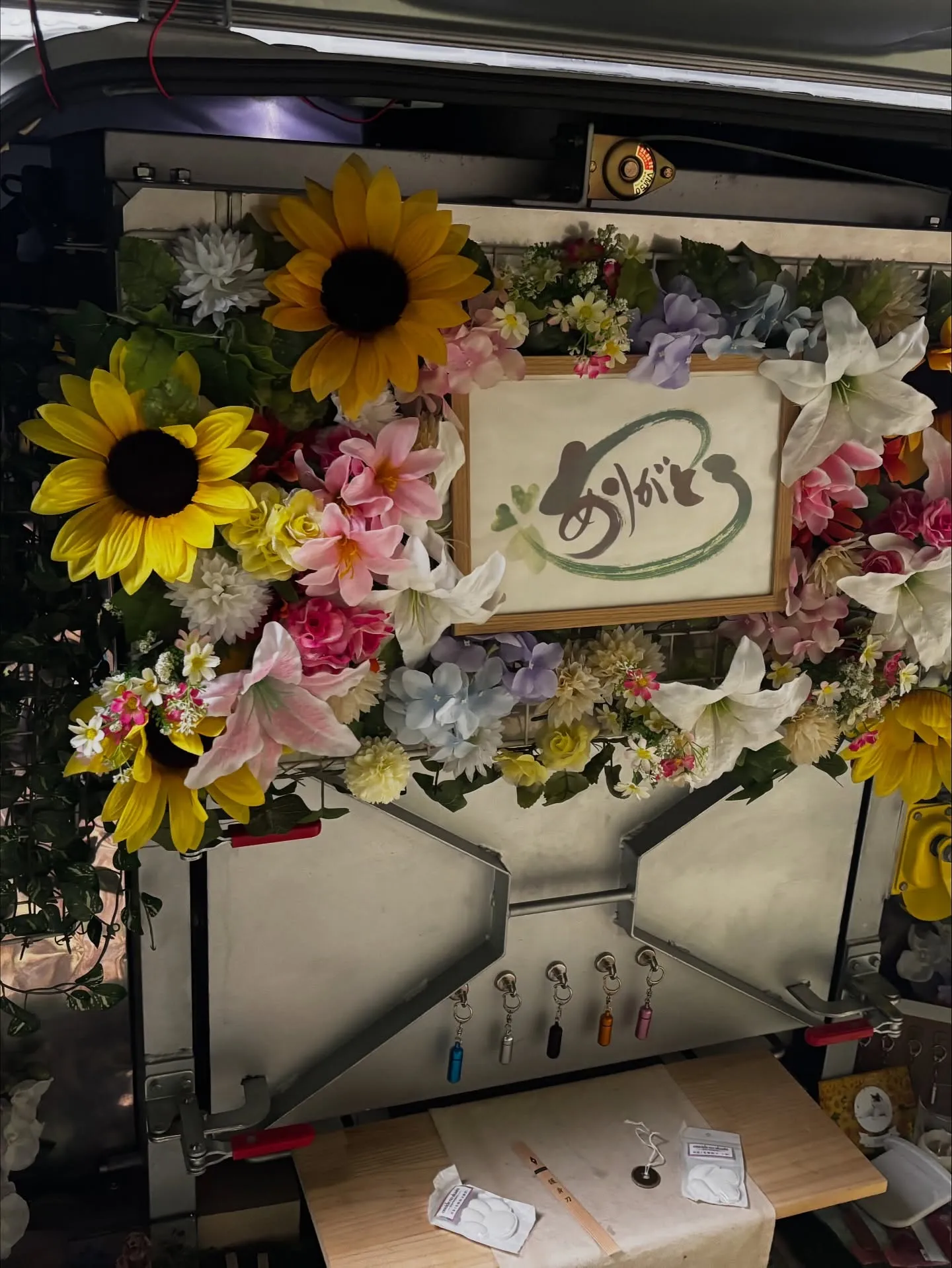 横須賀市にて愛猫のペット火葬をお手伝いさせていただきました。