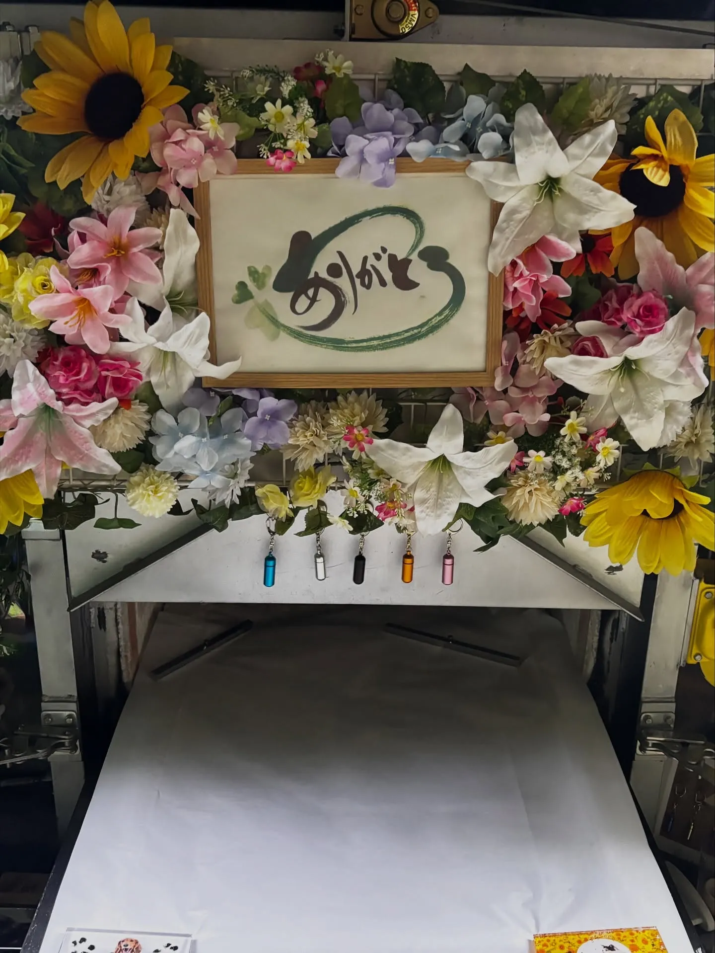 横須賀市にて愛猫のペット火葬をお手伝いさせていただきました。