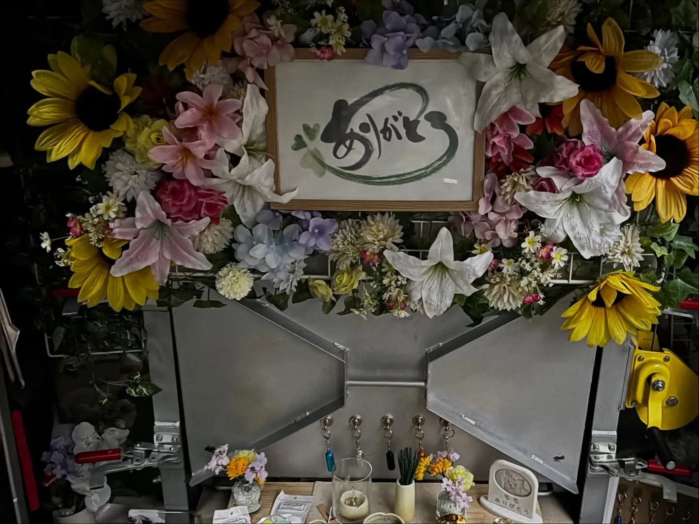 神奈川県三浦市にて、大切な家族であるミニチュアダックスのクリ...