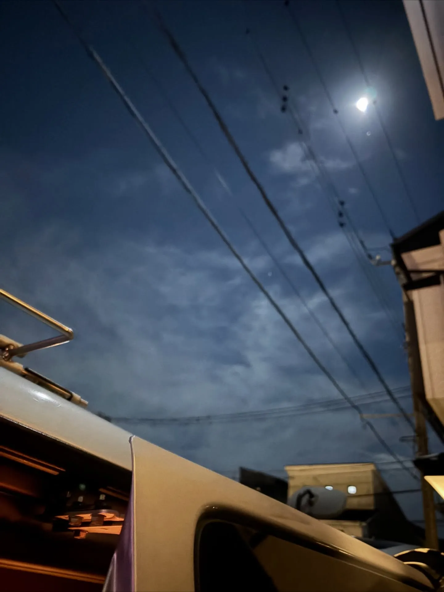 本日は、26歳という大往生を迎えた猫ちゃんの最後のお見送りを...