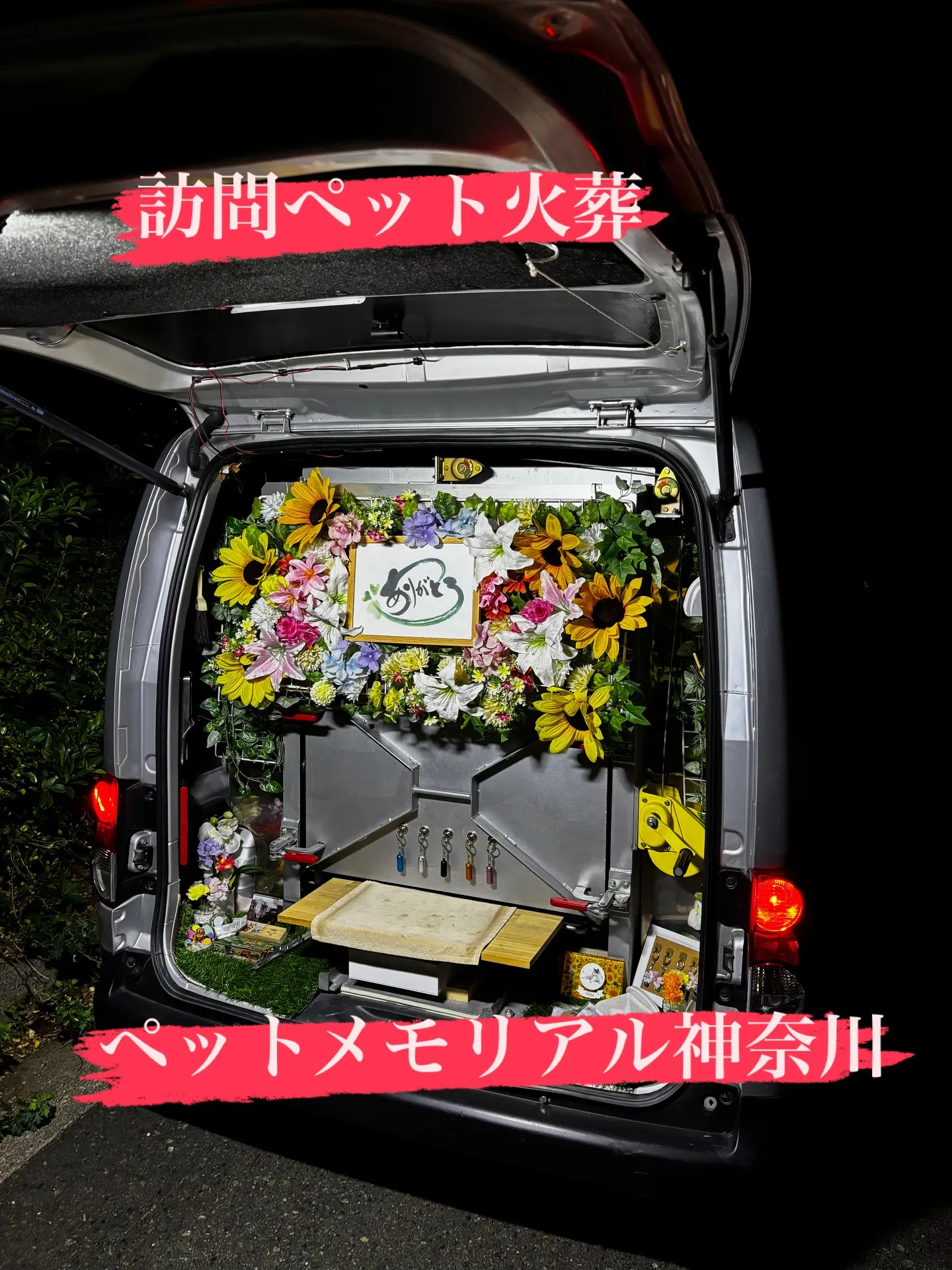 神奈川県逗子市にて、ミニチュアシュナウザーのキング君のペット...