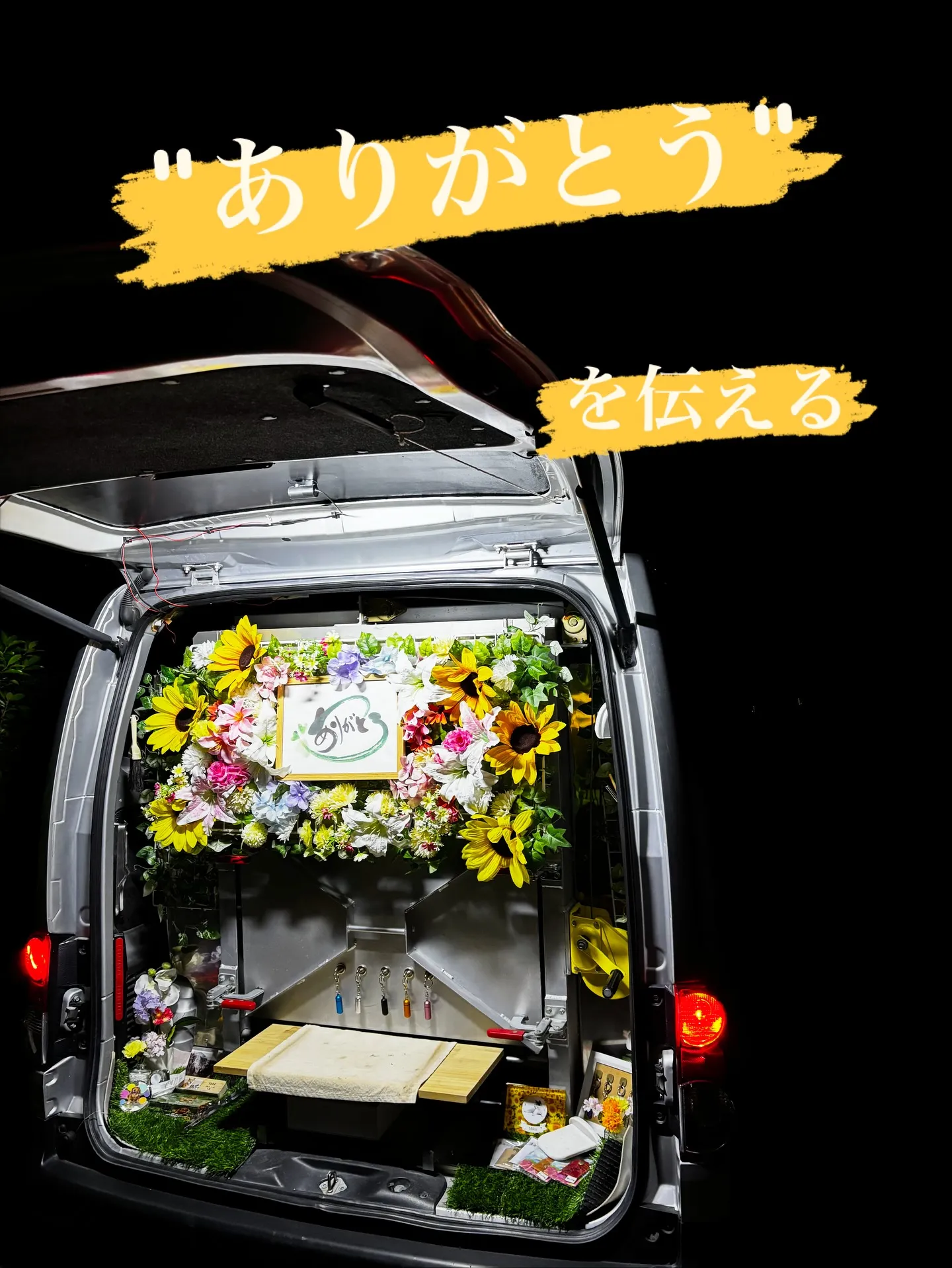 神奈川県逗子市にて、ミニチュアシュナウザーのキング君のペット...