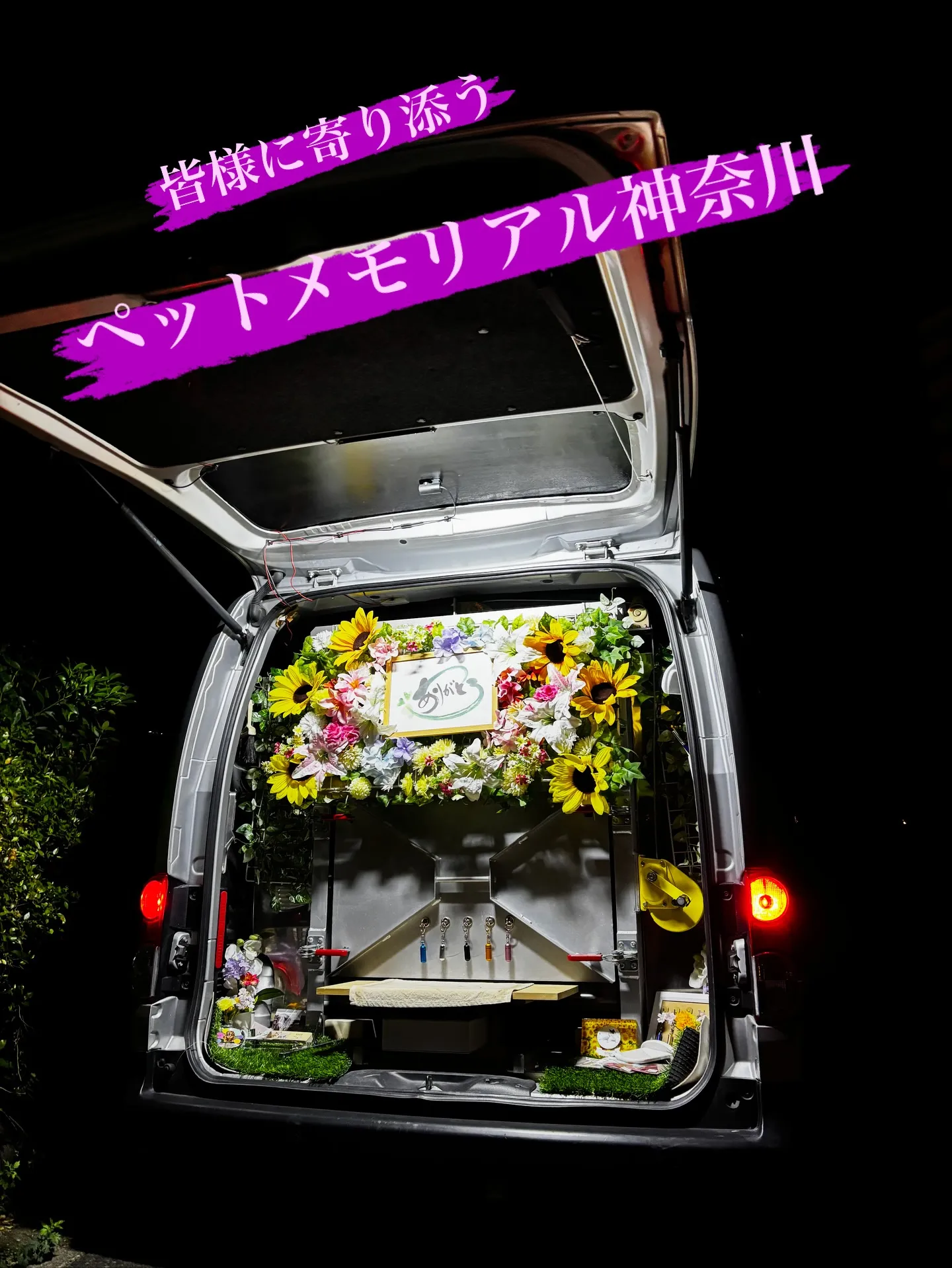 神奈川県逗子市にて、ミニチュアシュナウザーのキング君のペット...