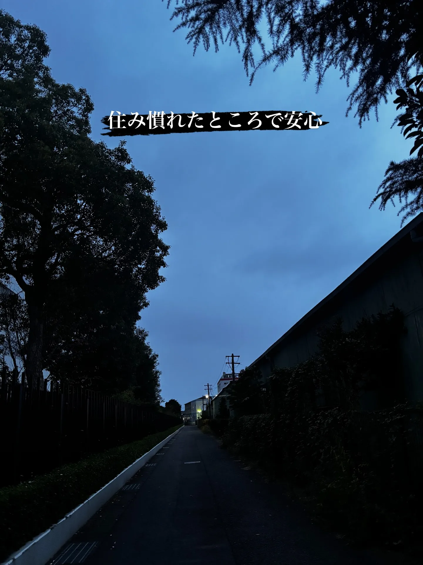 横須賀市で、大切な家族である猫ちゃんのペット火葬をお手伝いさ...