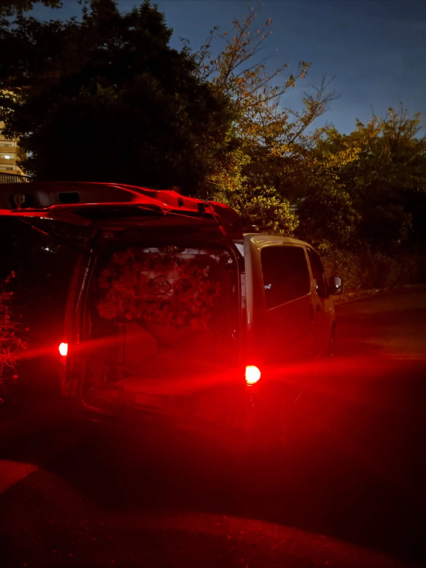 横須賀市で、大切な家族である猫ちゃんのペット火葬をお手伝いさ...