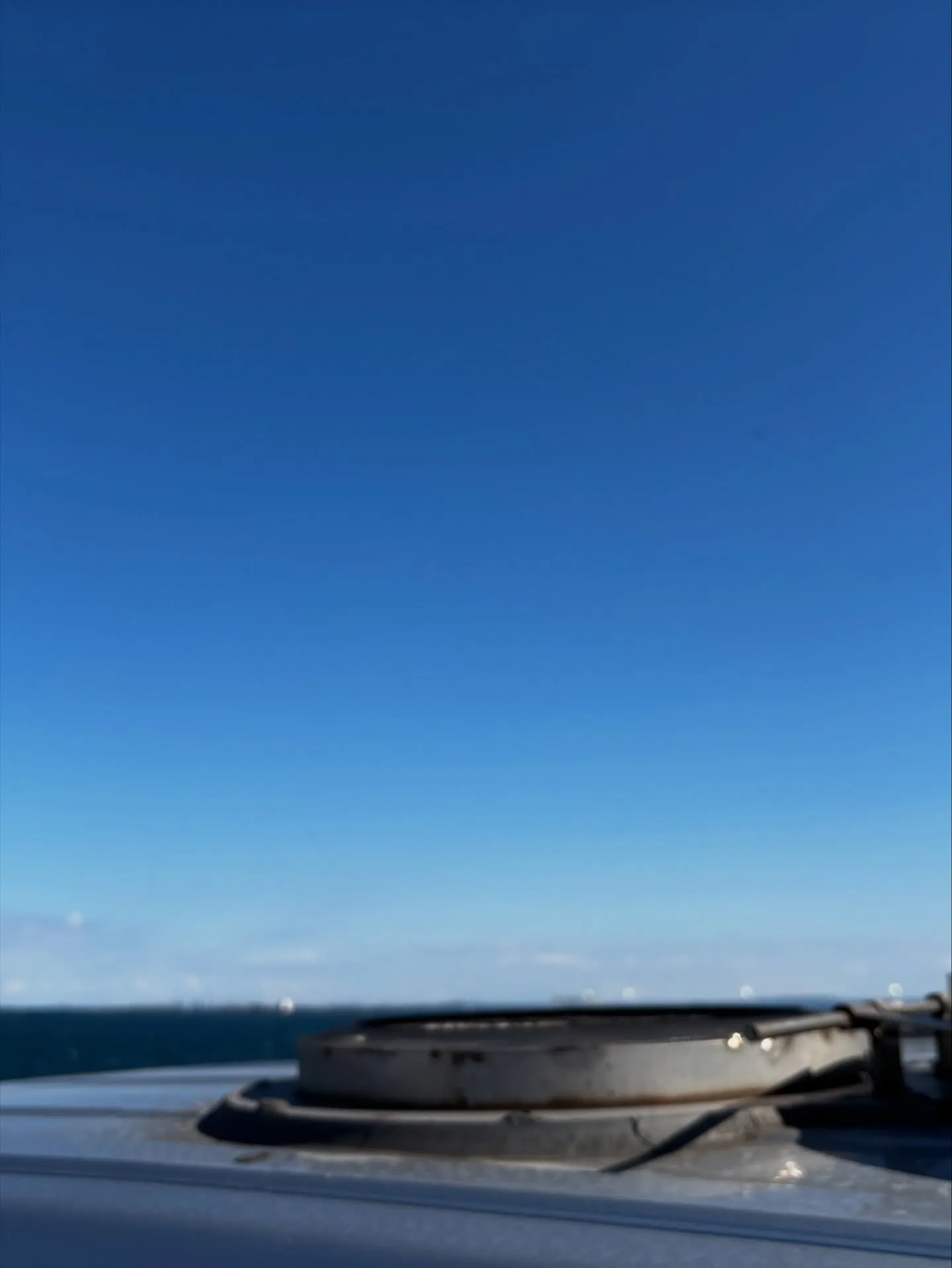 横須賀市で、大切なインコちゃんのお見送りをお手伝いさせていた...