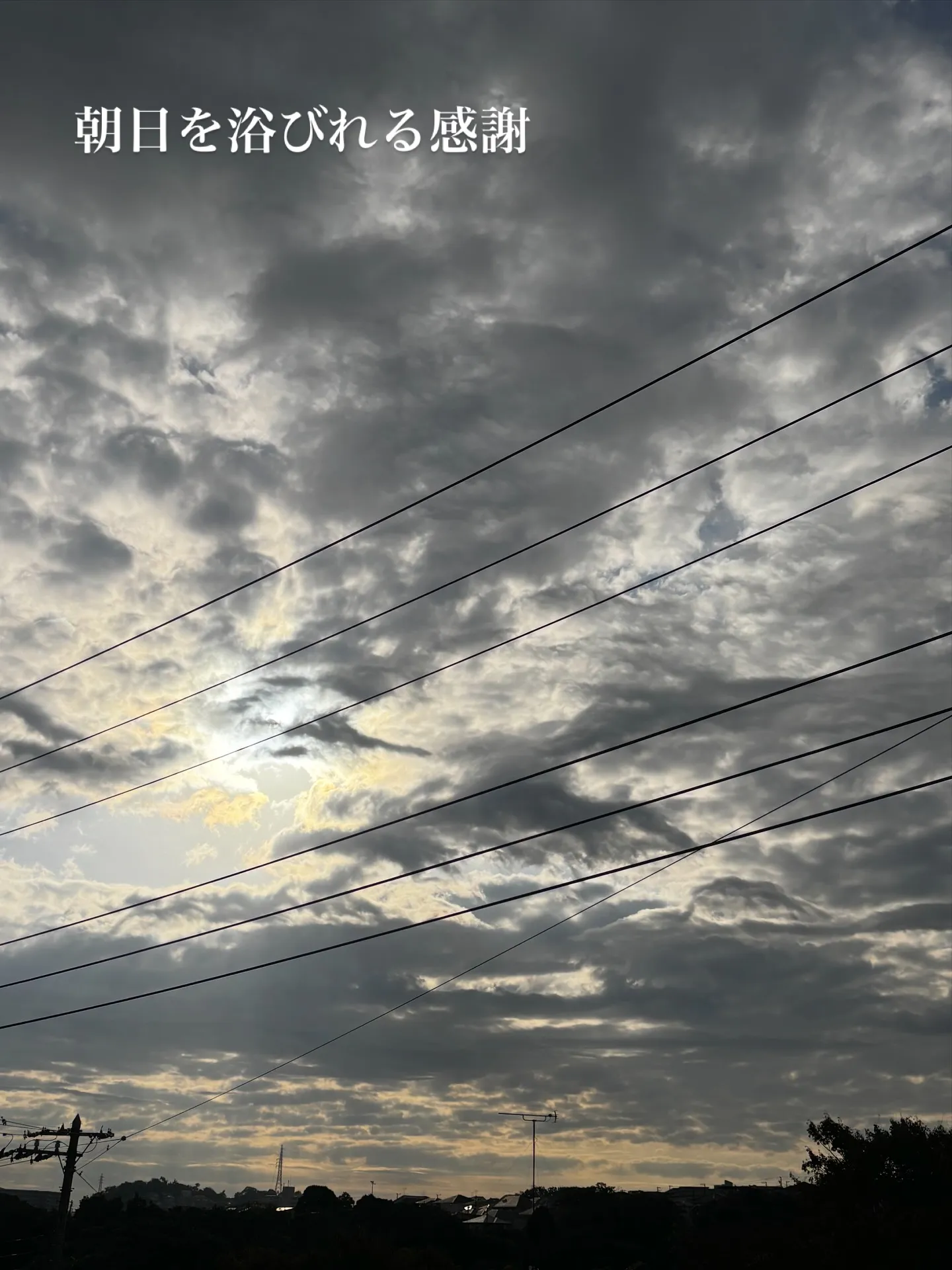 今日は待ちに待ったお休みの日でした。