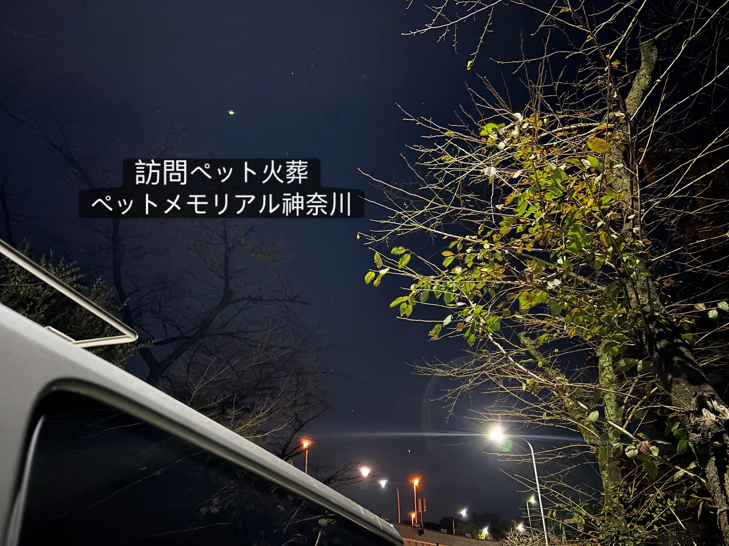 横浜市よりうさぎちゃんのお見送りをお手伝いさせていただきまし...
