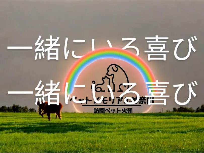 大切な家族とのお別れの時は、悲しさの中にも感謝の気持ちを伝え...