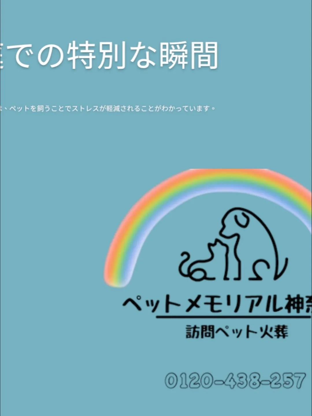 横須賀市において、愛する家族の一員である猫ちゃんのペット火葬...