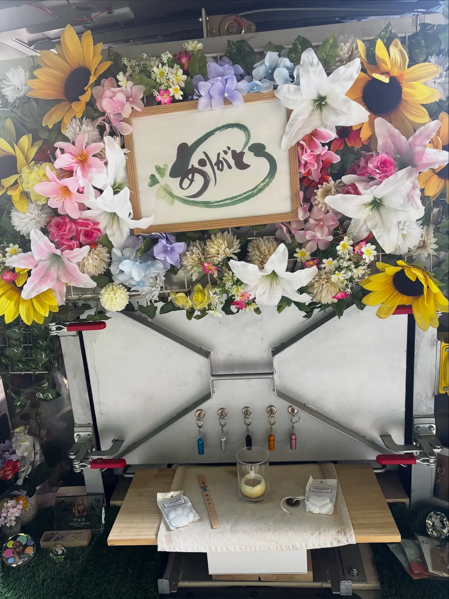 横須賀市において、愛する家族の一員である猫ちゃんのペット火葬...