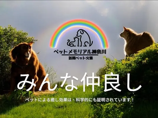 大切なペットとのお別れは、深い悲しみとともに感謝の気持ちを伝...