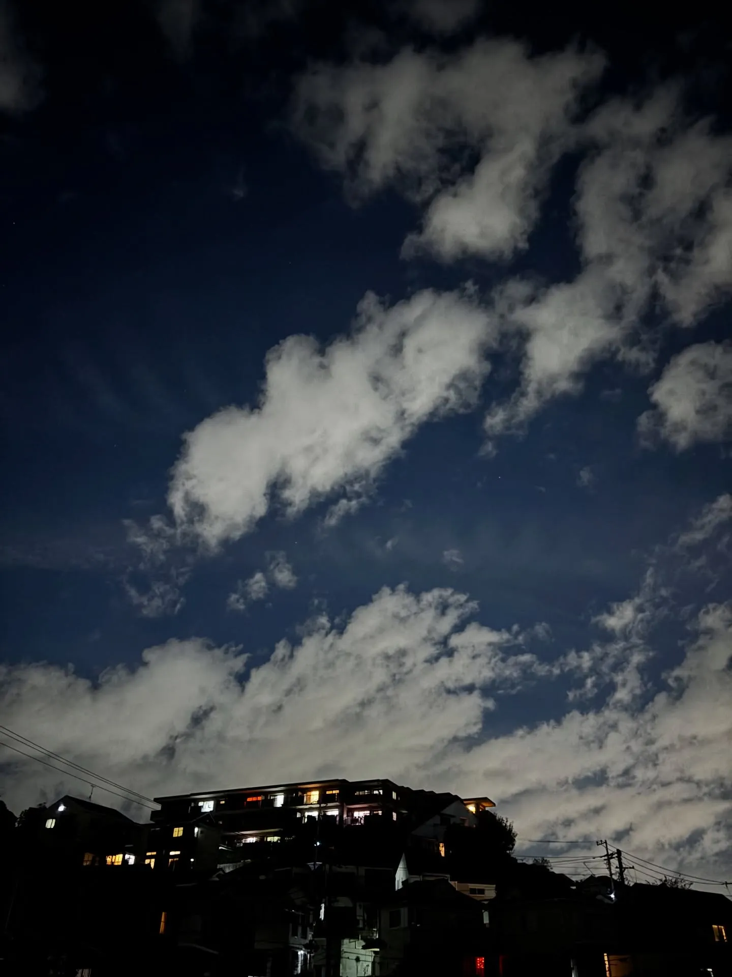 横浜市において、わんちゃんのペット火葬のお手伝いをさせていた...