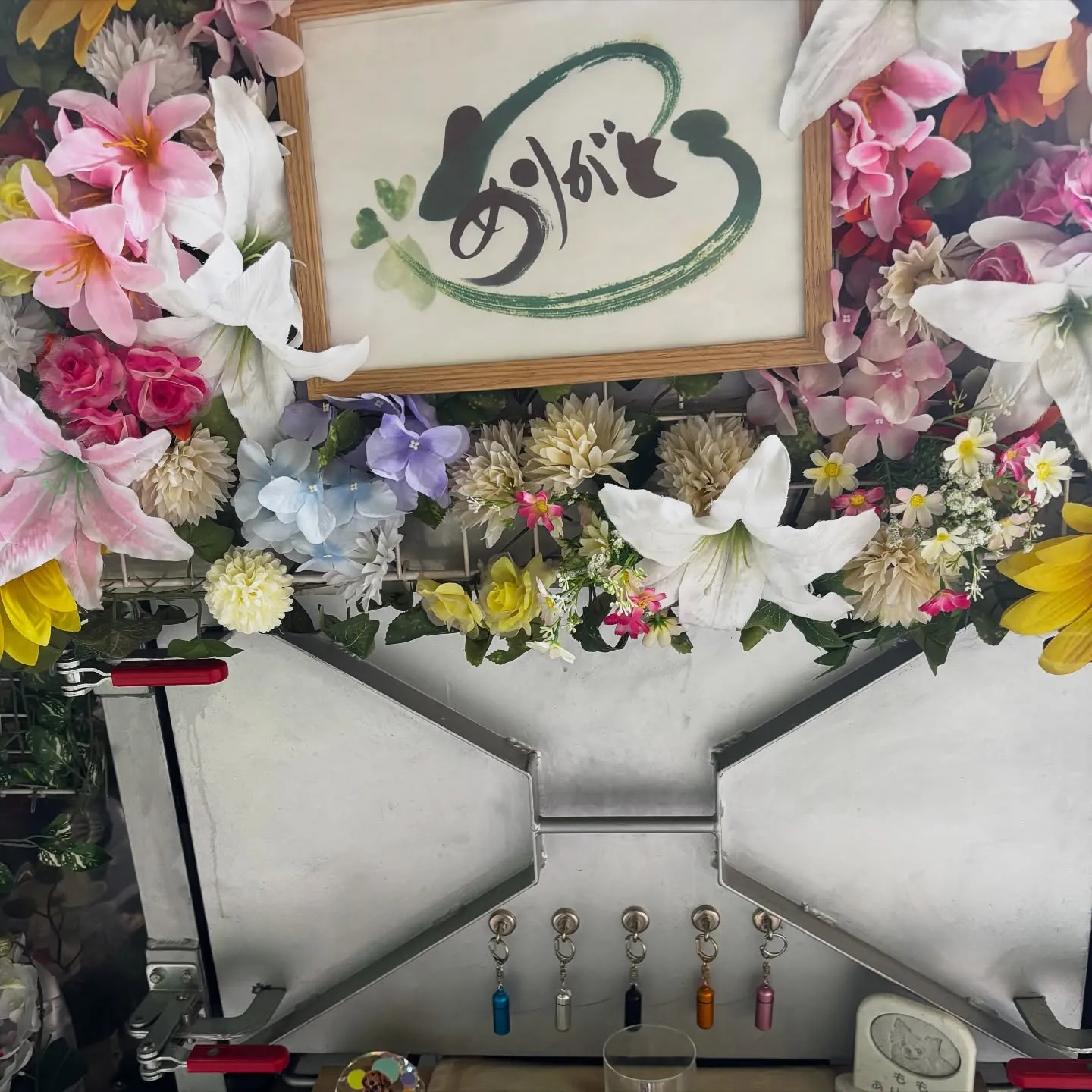 逗子市にて長年大切にされていた猫ちゃんのペット火葬のお手伝い...