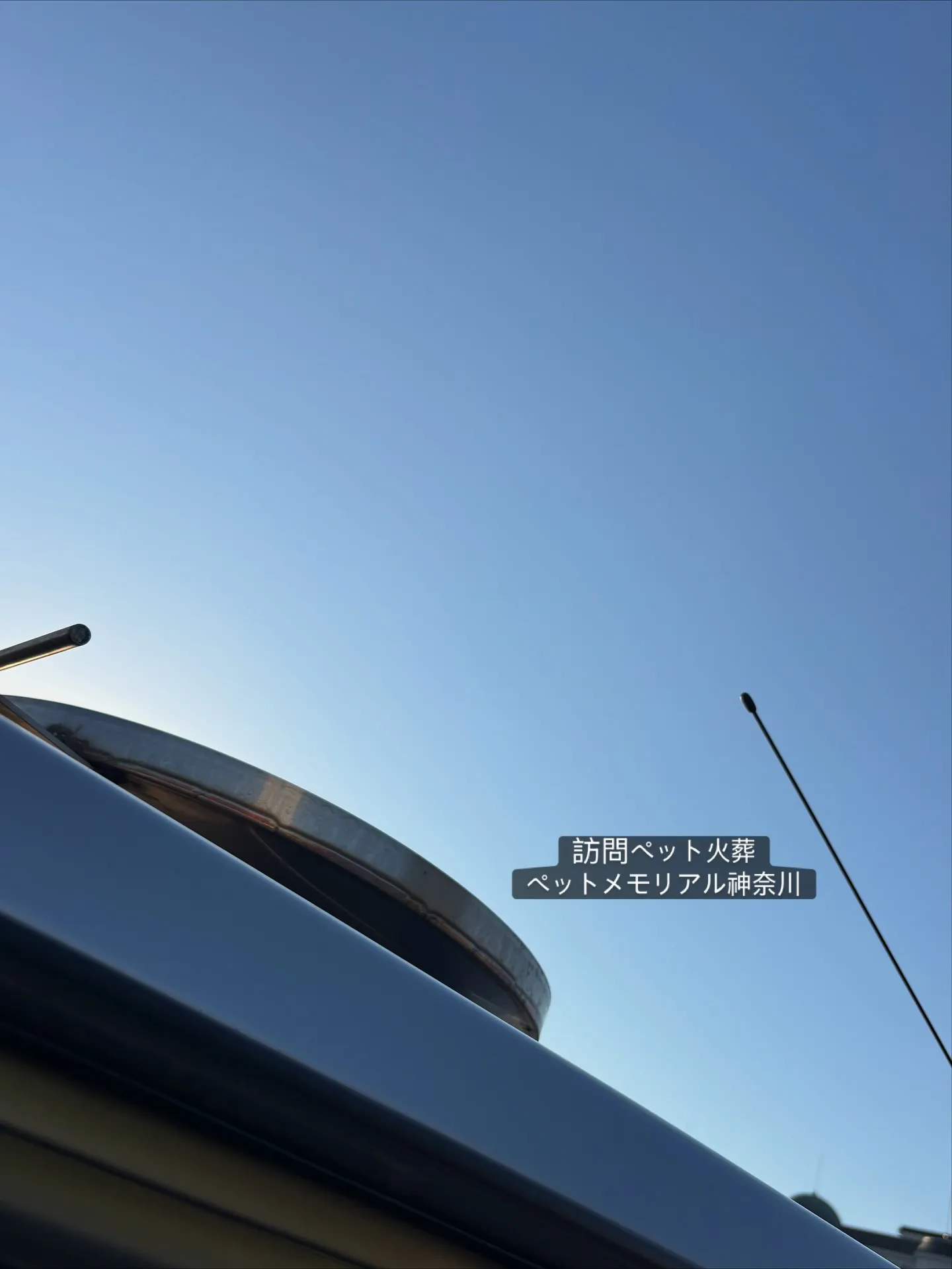 横須賀市にて、猫ちゃんのお見送りのお手伝いをさせていただきま...