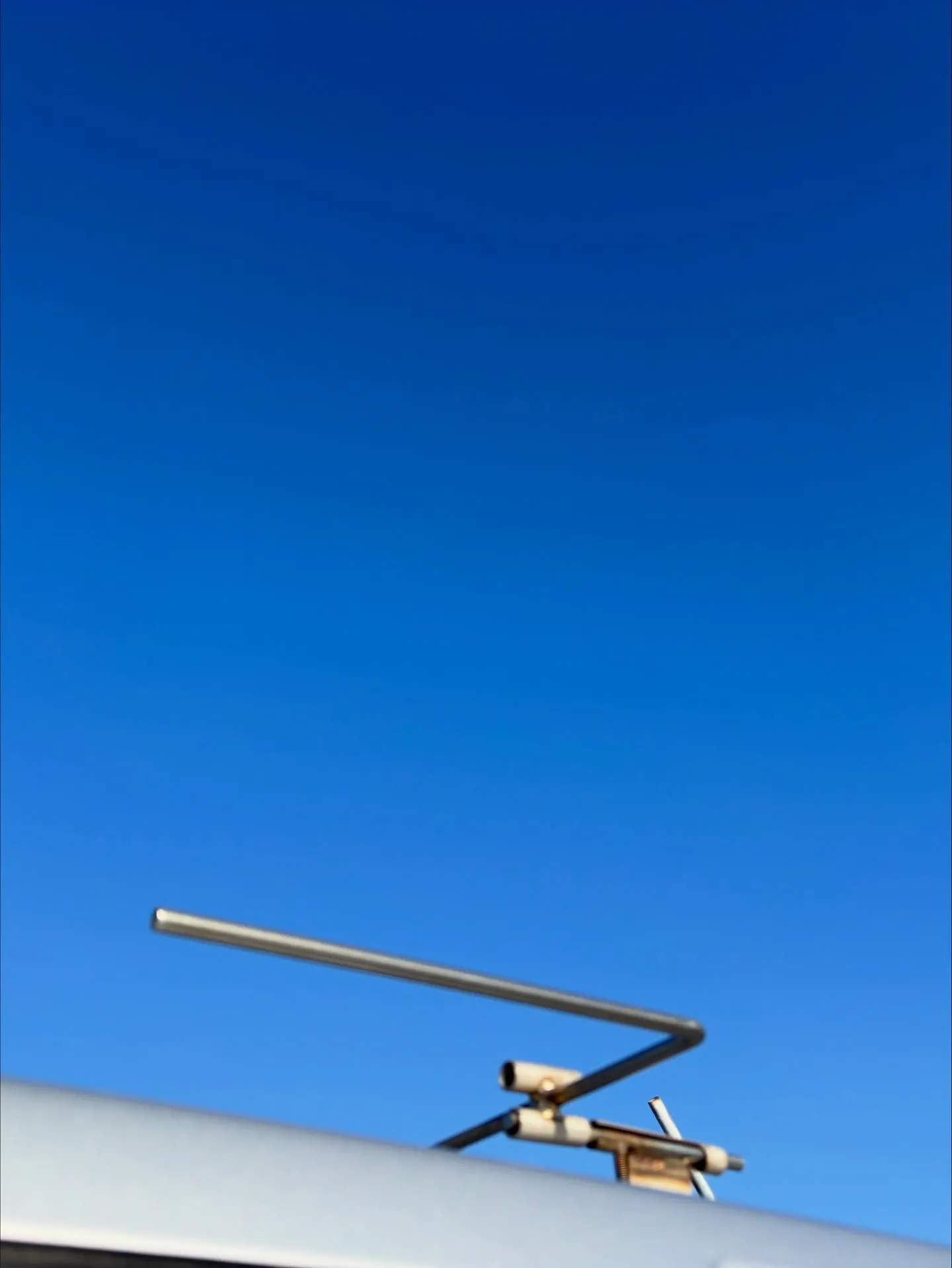 横須賀市にて、猫ちゃんのお見送りのお手伝いをさせていただきま...