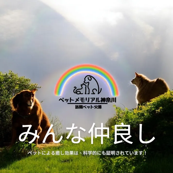 こんにちは、ペットメモリアル神奈川の佐藤です。