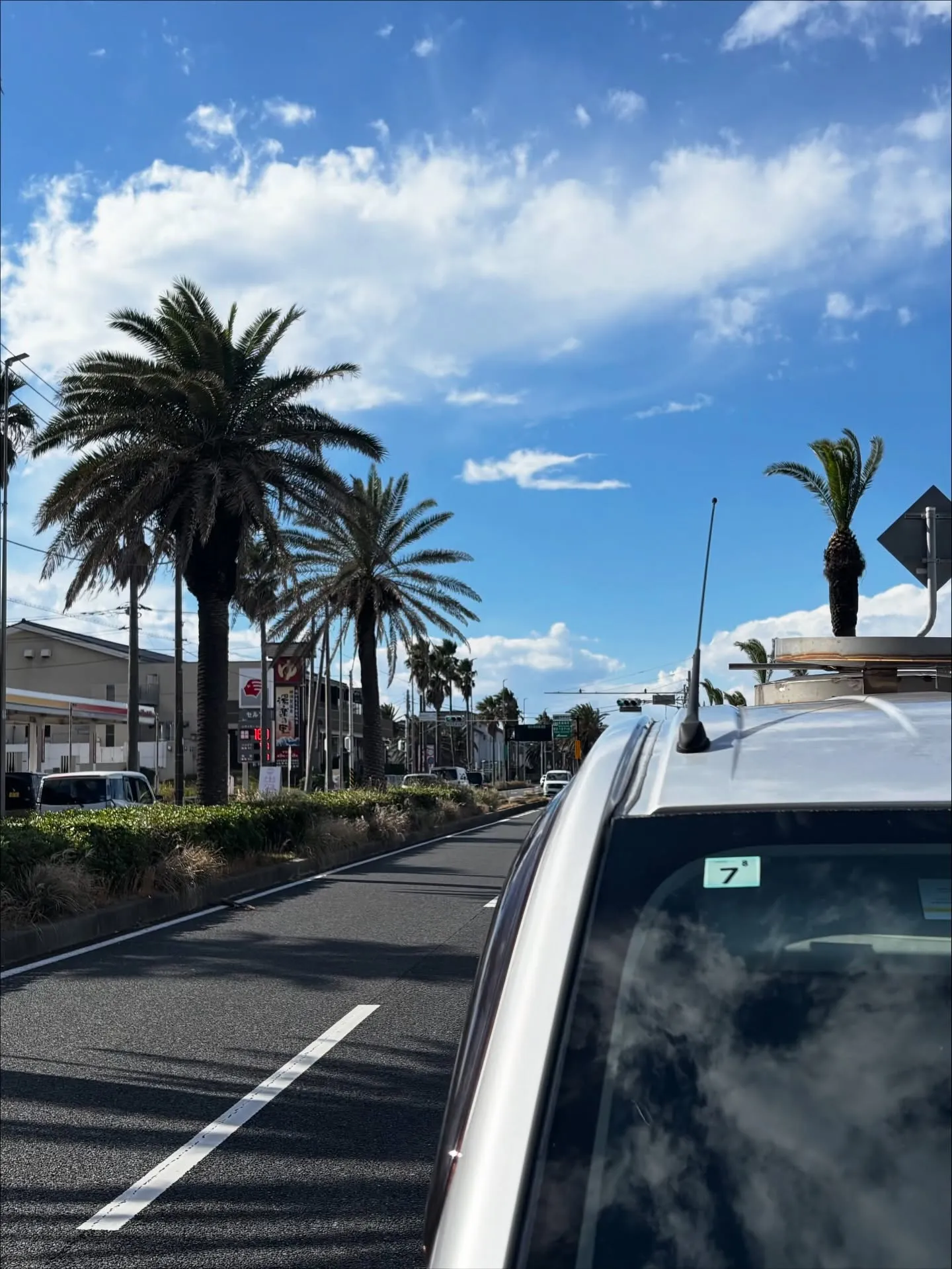 横須賀市の美しい海を見渡せる場所で、大切な家族の一員であった...