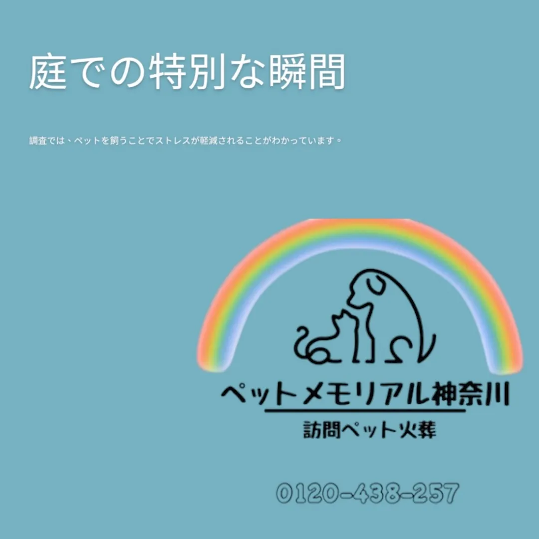 三浦市にて、大切な家族であるハムスターの最後の時を大切に見送...