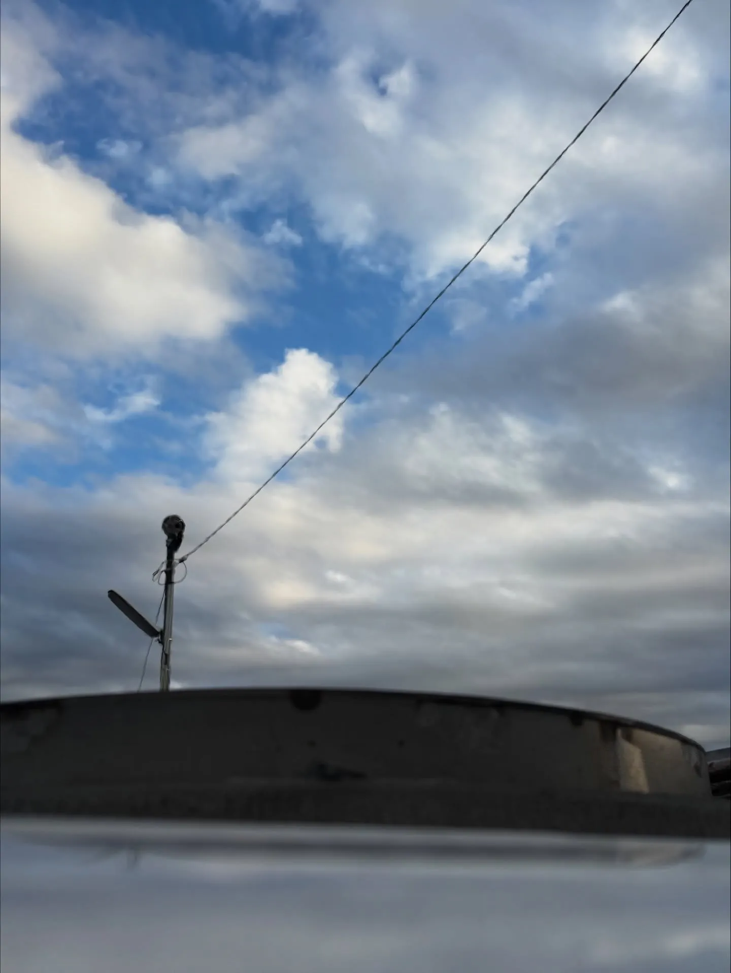 横須賀市にて猫ちゃんのペット火葬をお手伝いさせていただきまし...