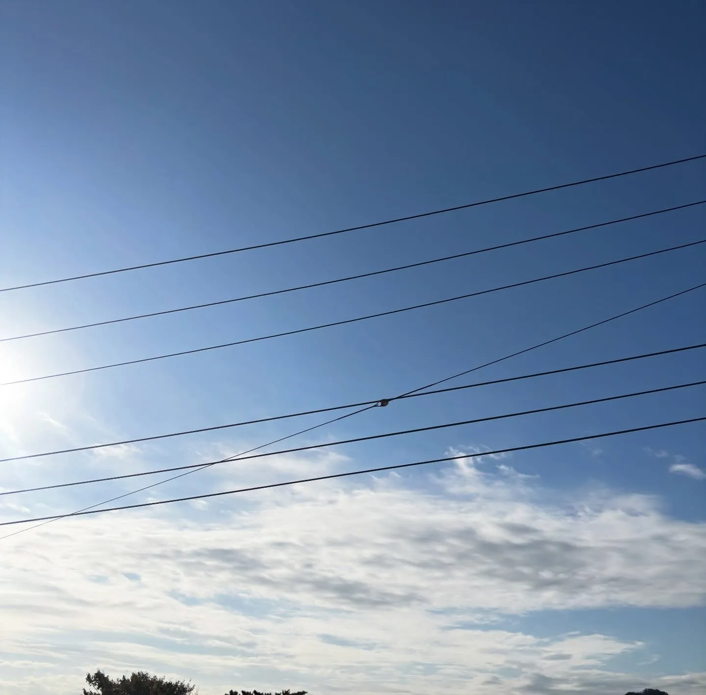 神奈川県三浦市にて、ミニチュアダックスフンドのレモンちゃんの...