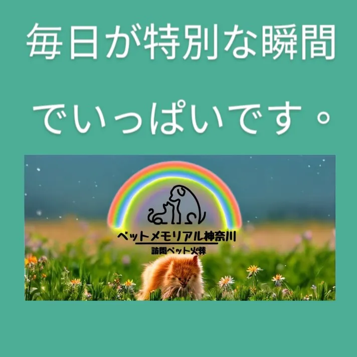大切なペットとの最後の時間は、単なるお別れではなく、共に過ご...