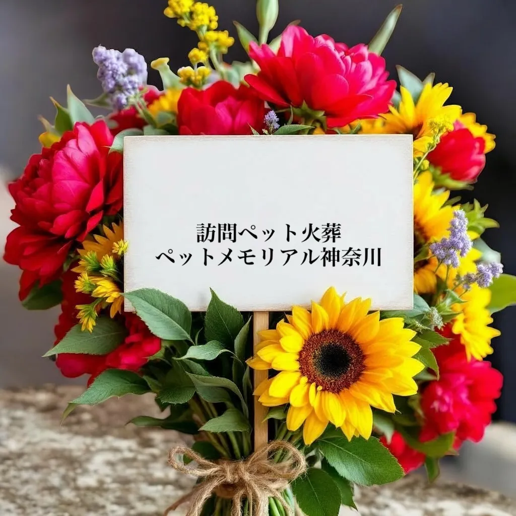 大切なペットとの最後の時間は、単なるお別れではなく、共に過ご...