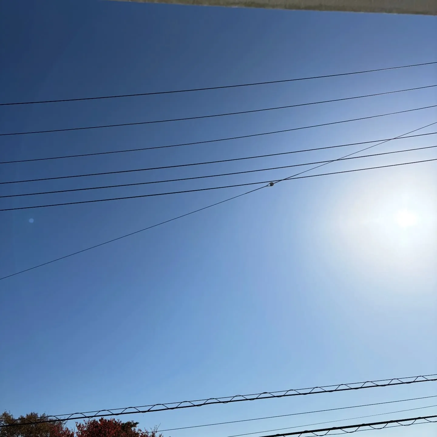 ペットメモリアル神奈川の訪問ペット火葬サービスは、柔軟な時間...