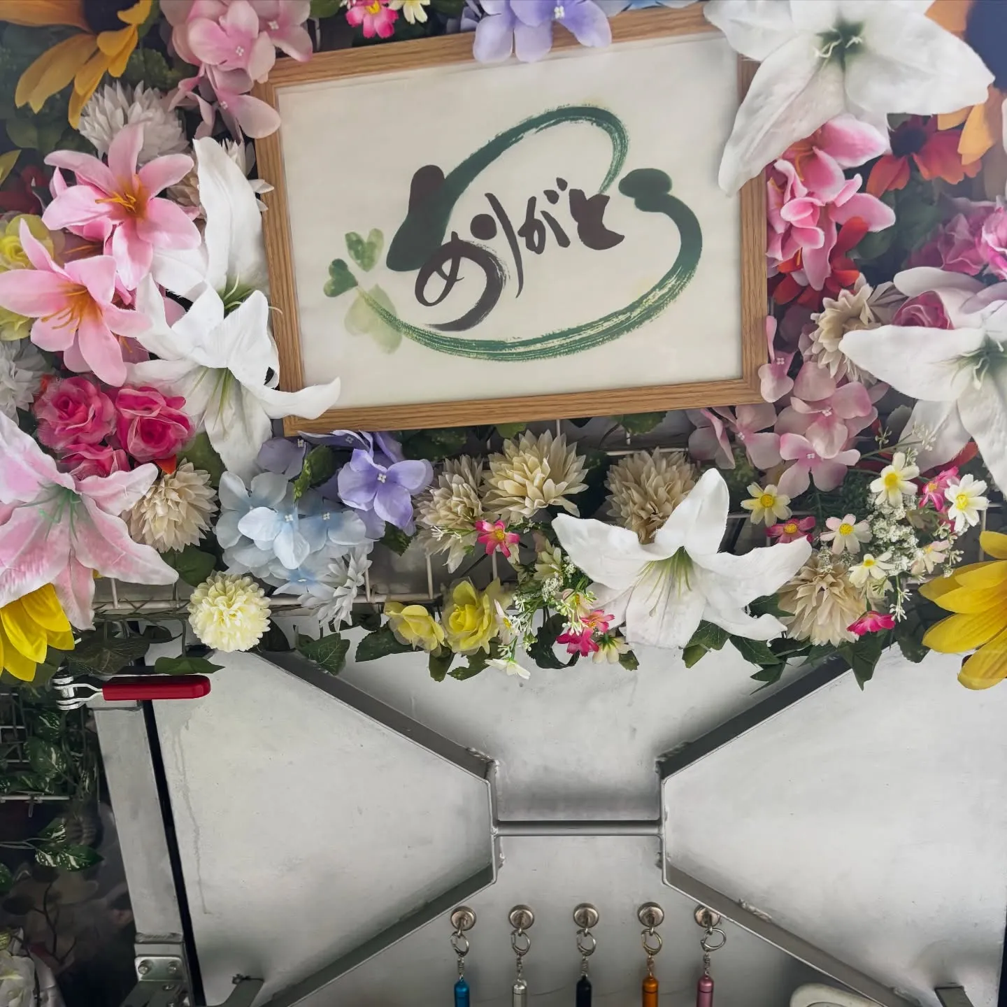 横浜市でボタンインコちゃんのお見送りのサポートをさせていただ...