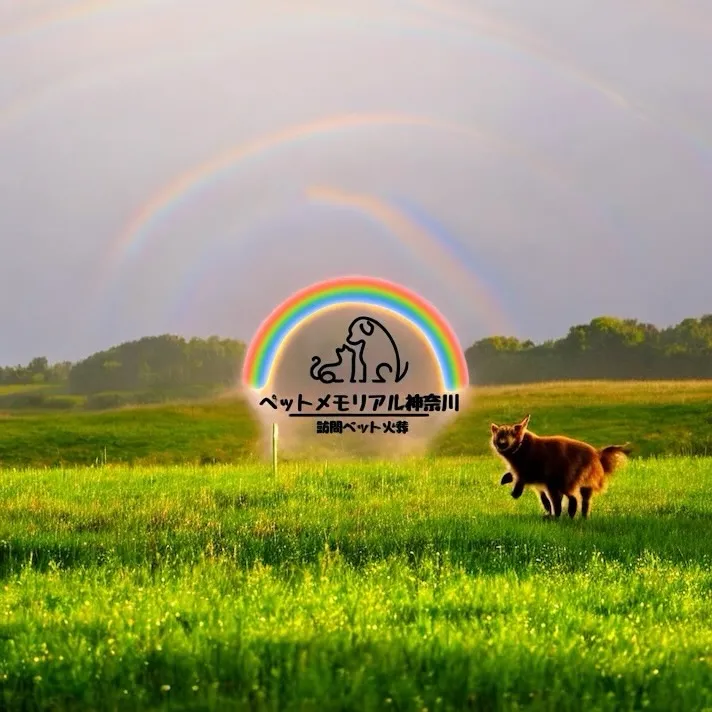 ペットとの別れは非常に辛いものですが、大切な家族としてのペッ...