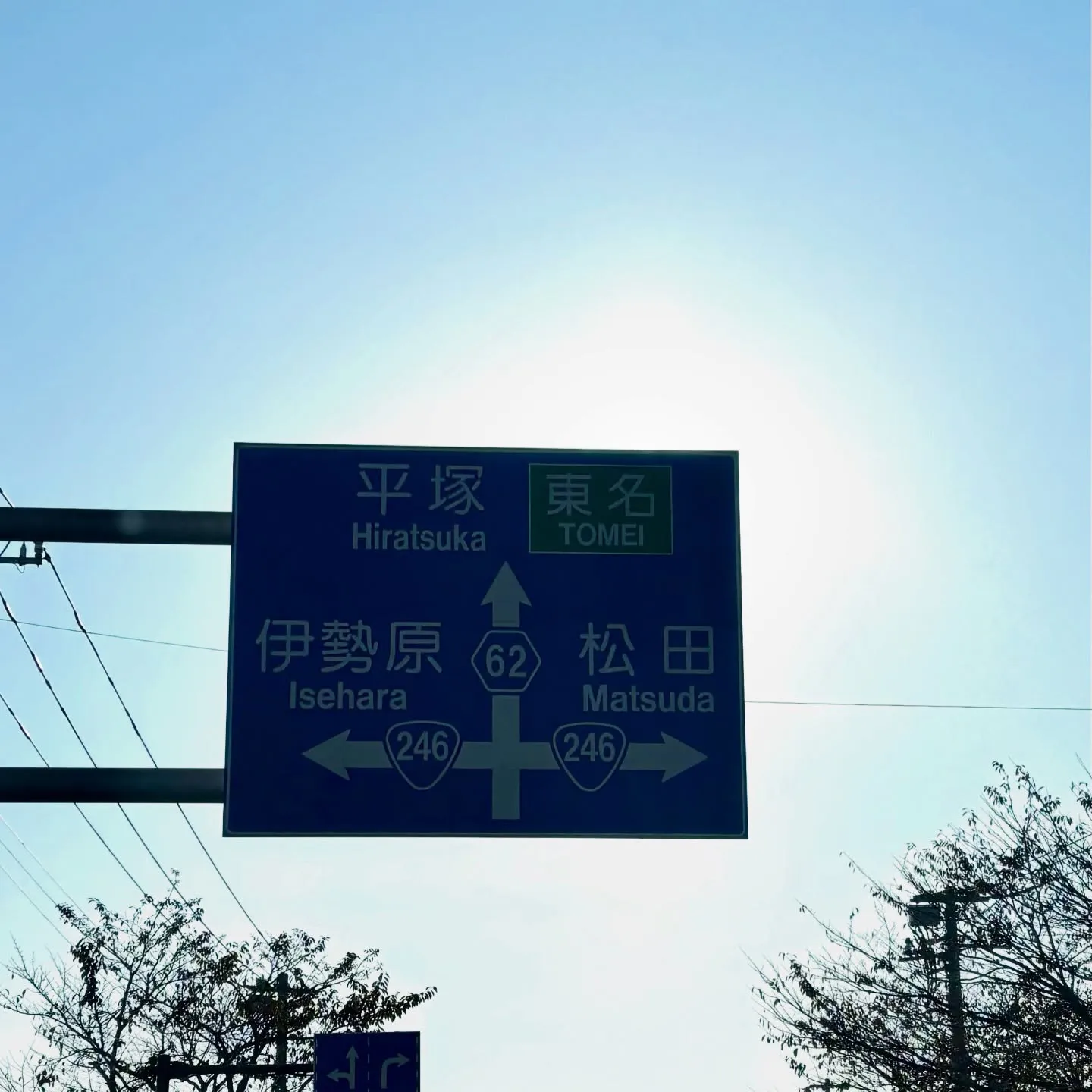 ペットとの別れは非常に辛いものですが、大切な家族としてのペッ...