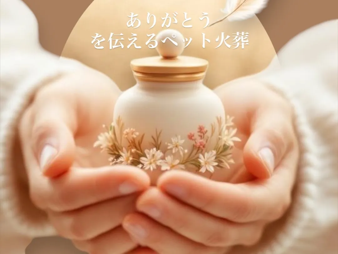 ペット火葬において、専門スタッフの技術と経験は非常に重要です...
