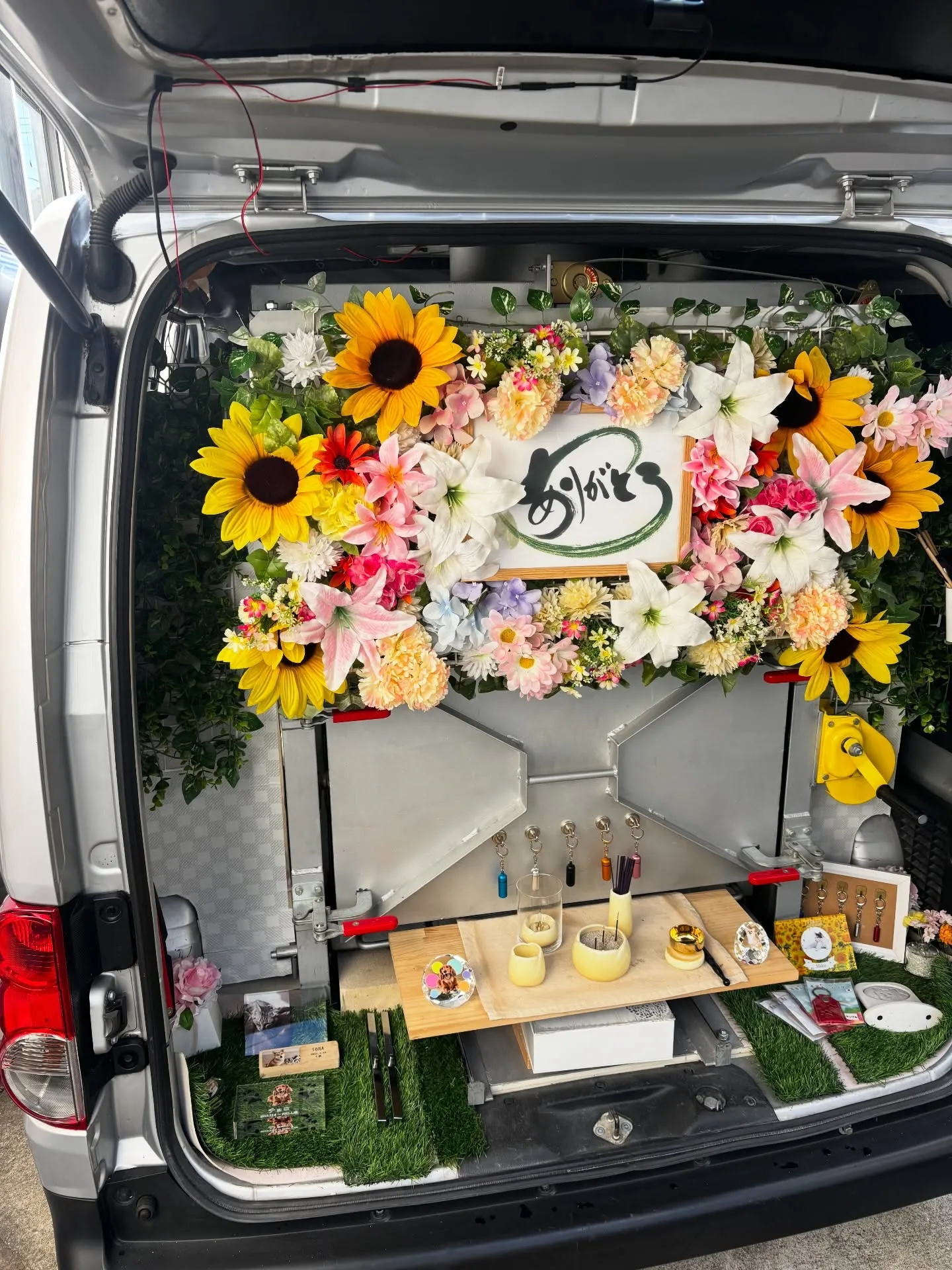 横須賀市にお住まいのご家族から、素敵な毛色を持つ猫ちゃんのお...