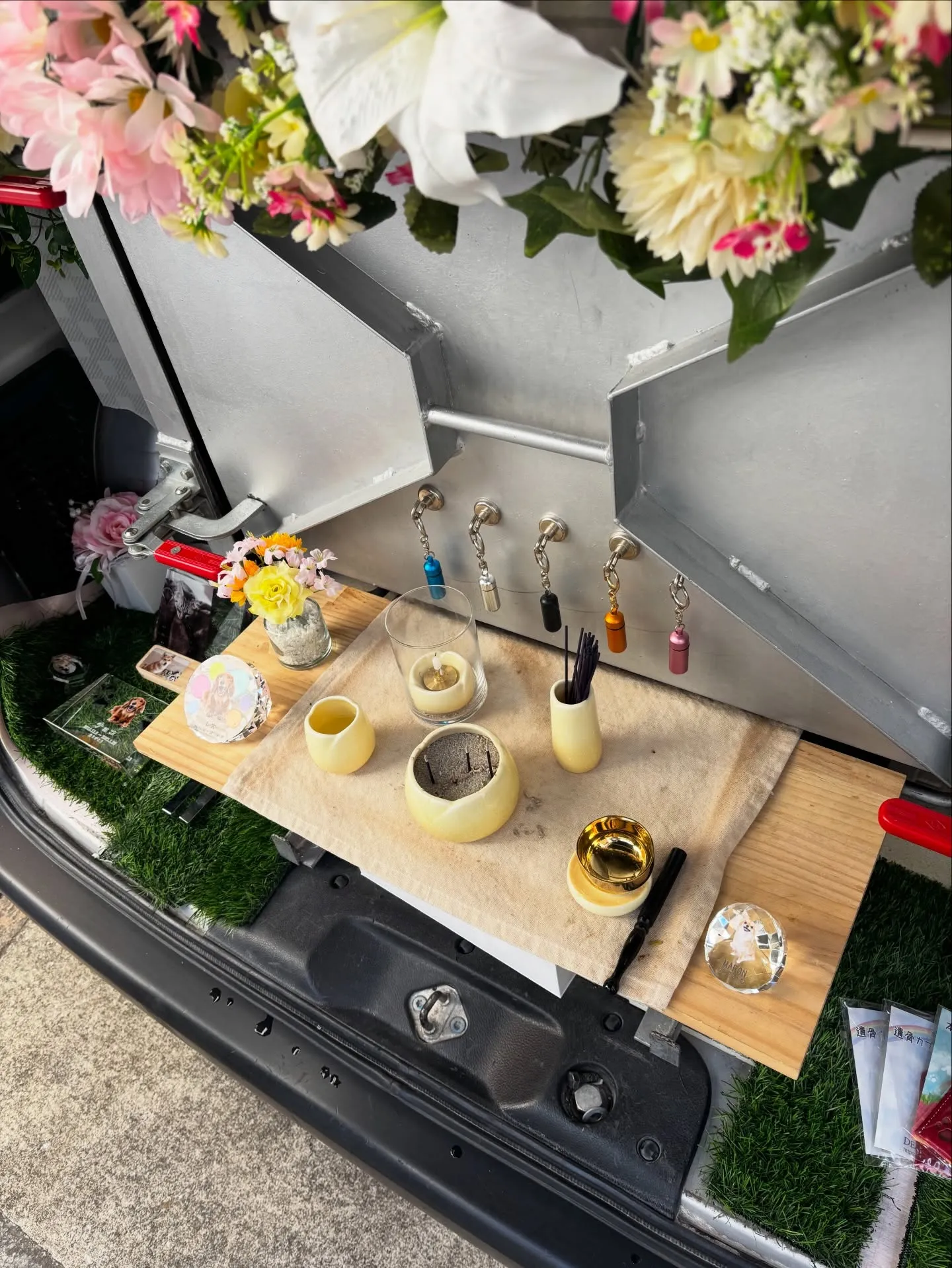 横須賀市にお住まいのご家族から、素敵な毛色を持つ猫ちゃんのお...