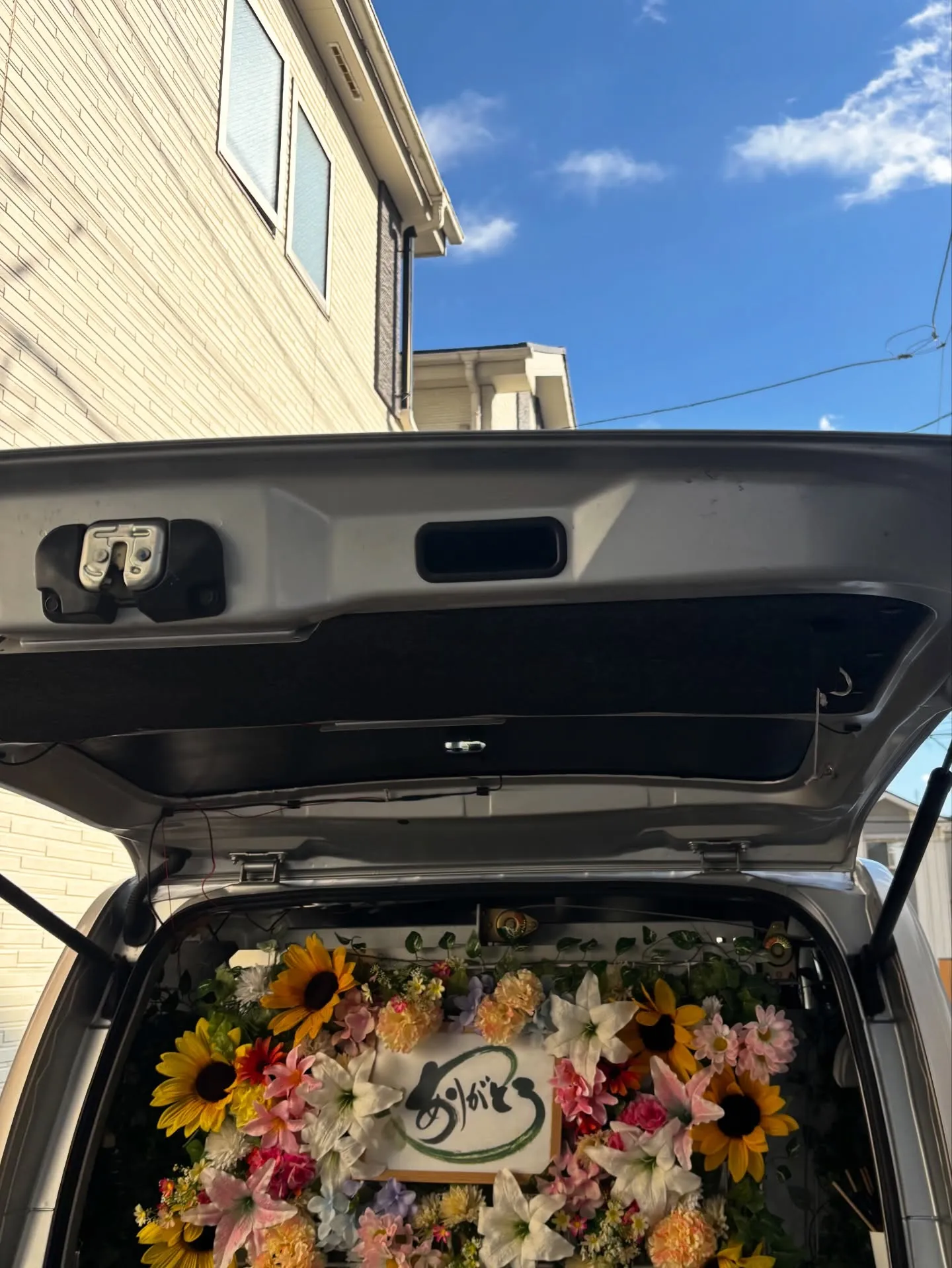 横須賀市にお住まいのご家族から、素敵な毛色を持つ猫ちゃんのお...