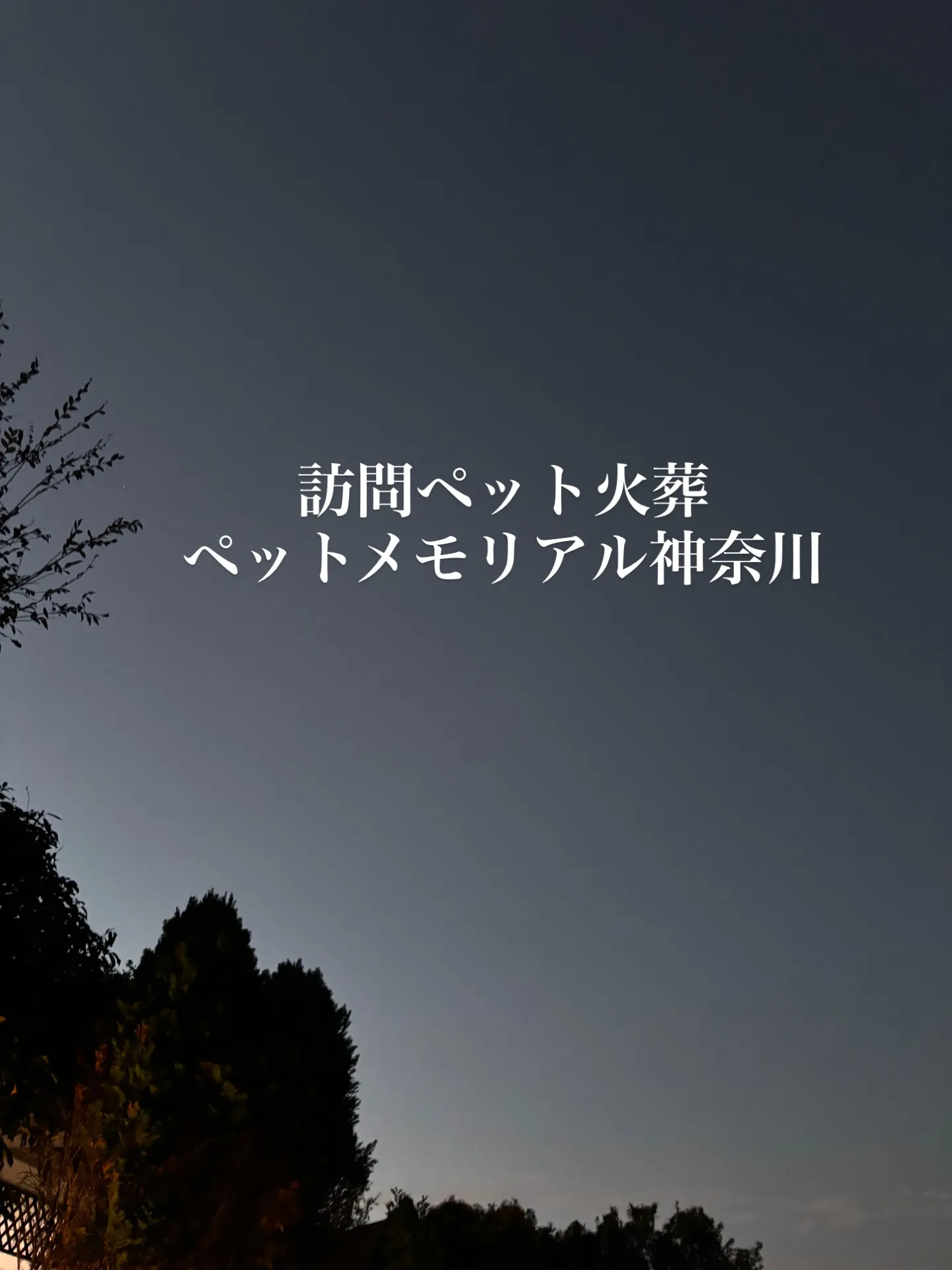 横須賀市で、愛らしいチワワちゃんの最後のお見送りとペット火葬...