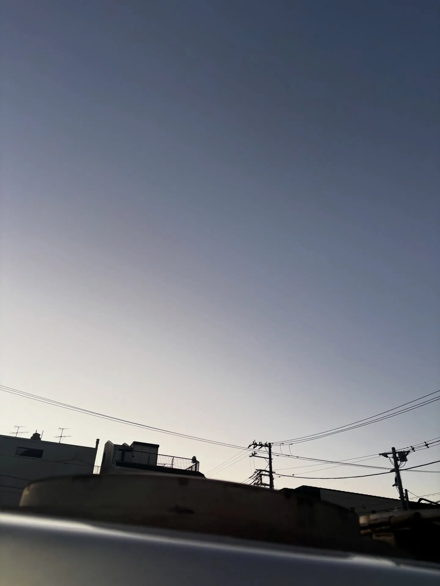 横浜市で、大切なご家族であるハムスター様のペット火葬のお手伝...