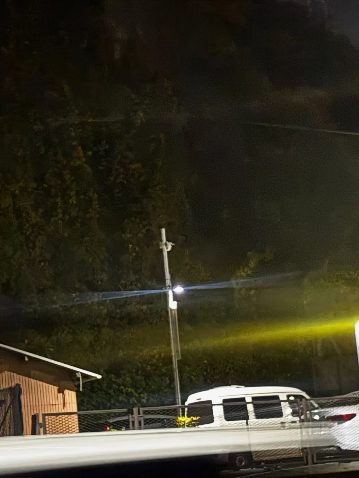 横浜市にて大切な猫ちゃんのペット火葬のお手伝いをさせていただ...