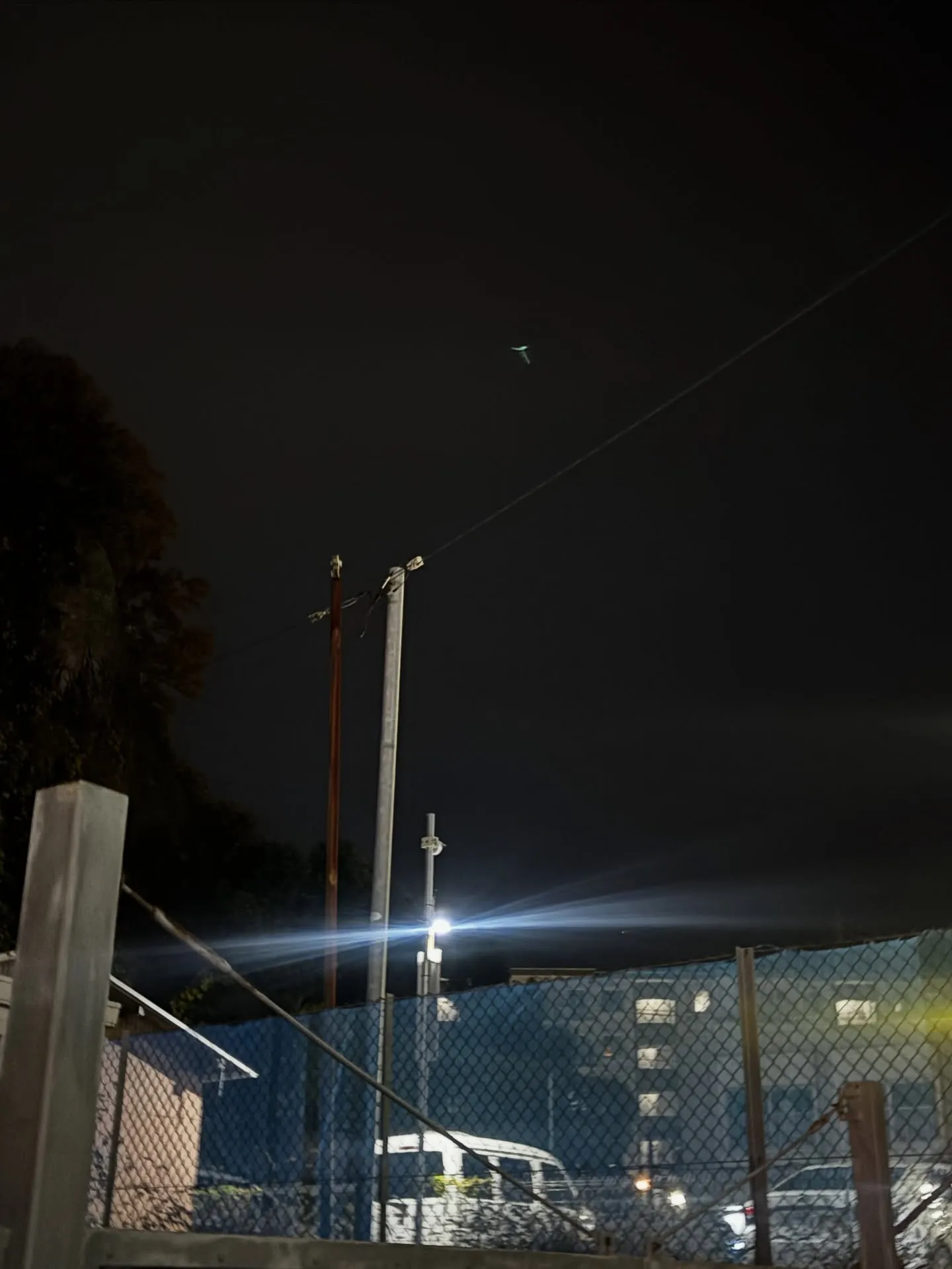 横浜市にて大切な猫ちゃんのペット火葬のお手伝いをさせていただ...