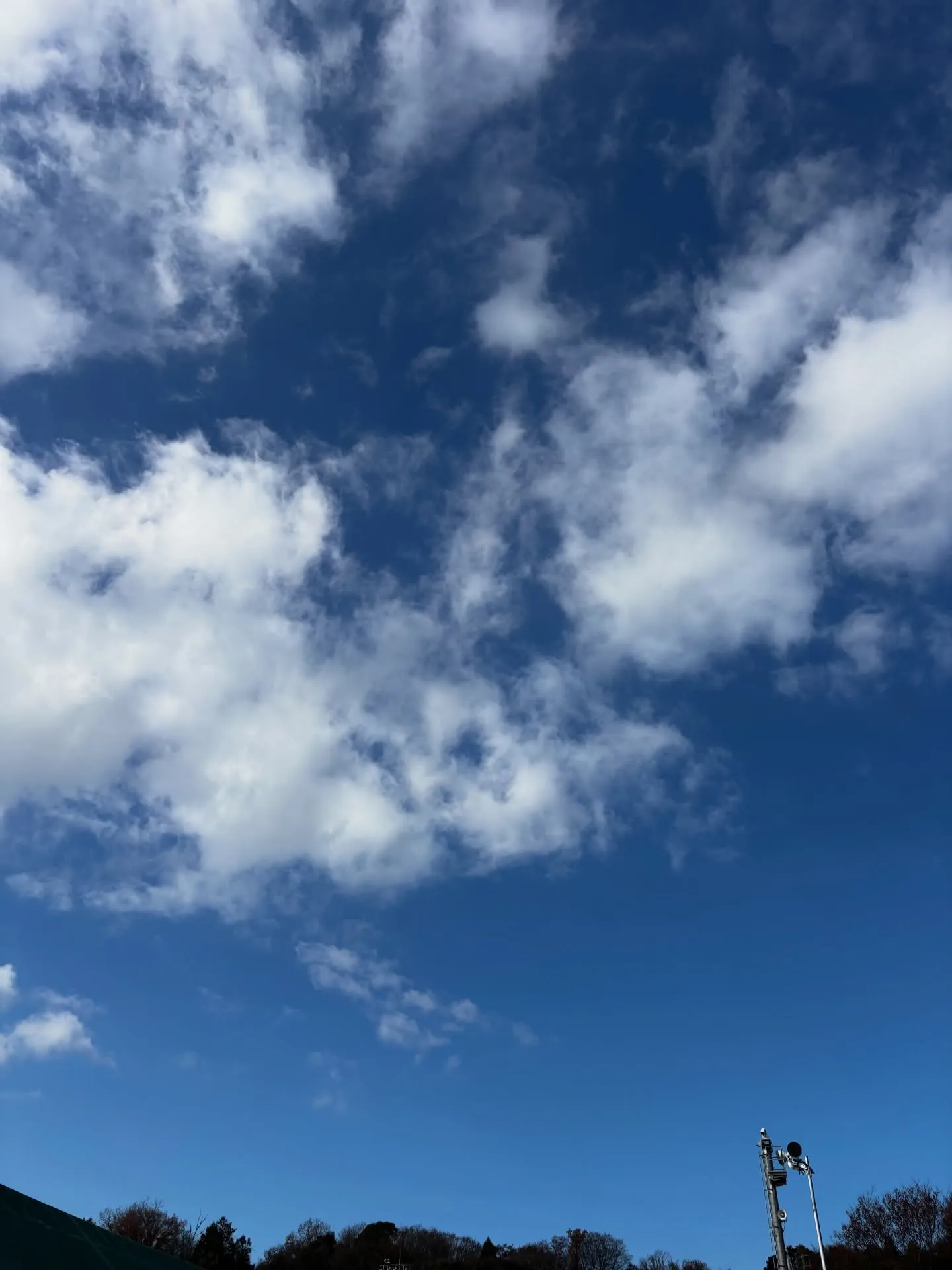 1914年12月20日、東京の都市景観にとって重要な転機とな...