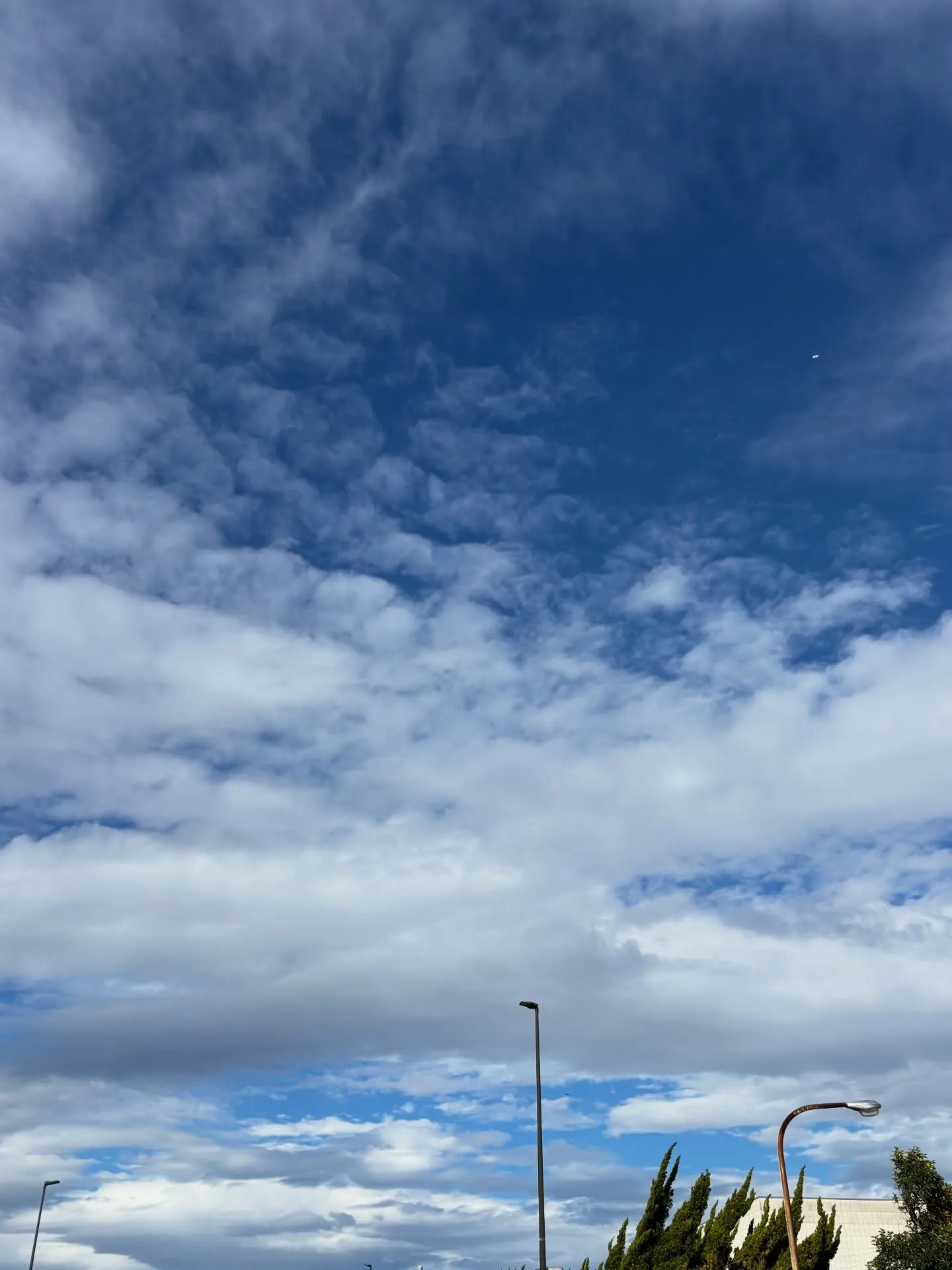 神奈川県横須賀市にて、大切な家族の一員である猫ちゃんのお見送...