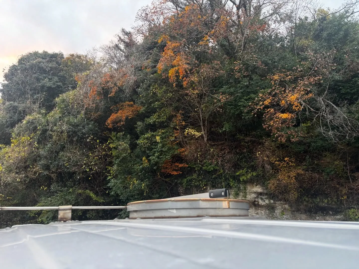 三浦市にて、14年間ともに過ごされた大切なチワワちゃんのペッ...